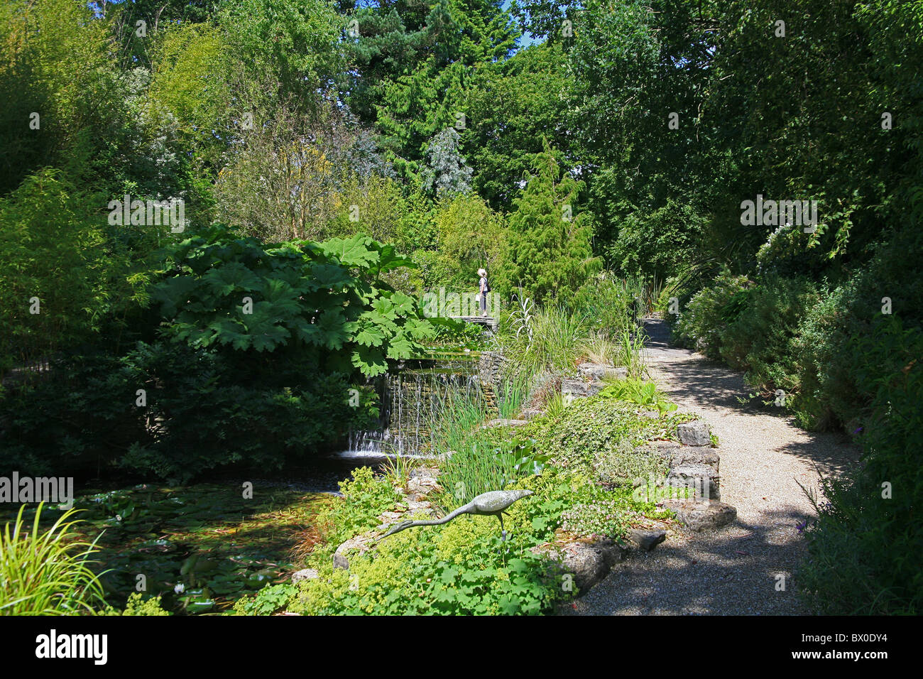 Il display di estate in Knoll Giardini a Wimborne, Dorset, England, Regno Unito Foto Stock