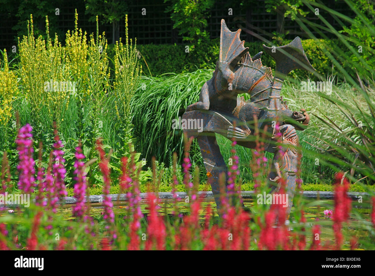 Il display di estate nel giardino del drago in Knoll Giardini a Wimborne, Dorset, England, Regno Unito Foto Stock