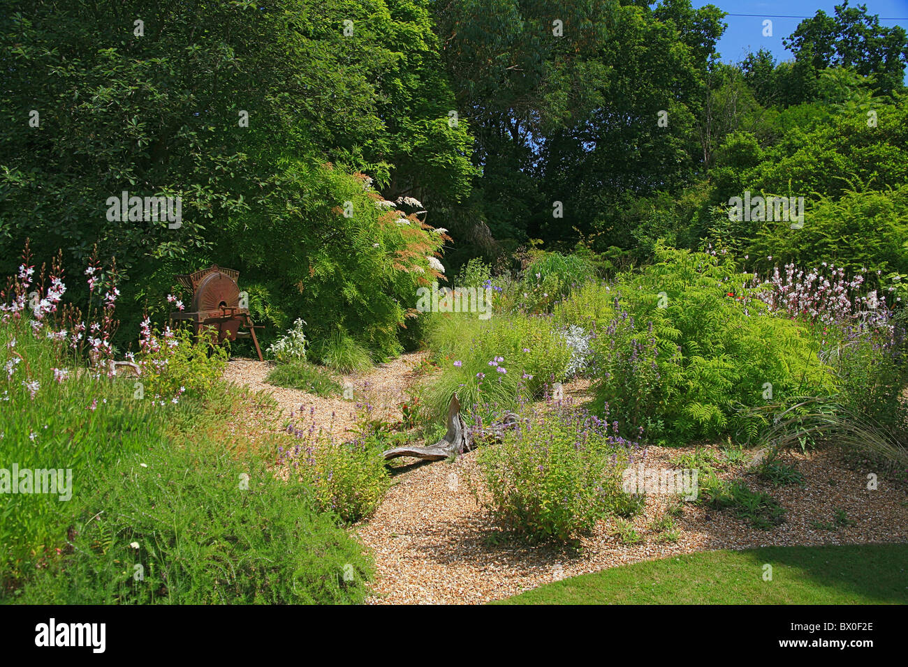Il display di estate nel giardino di ghiaia in Knoll Giardini a Wimborne, Dorset, England, Regno Unito Foto Stock