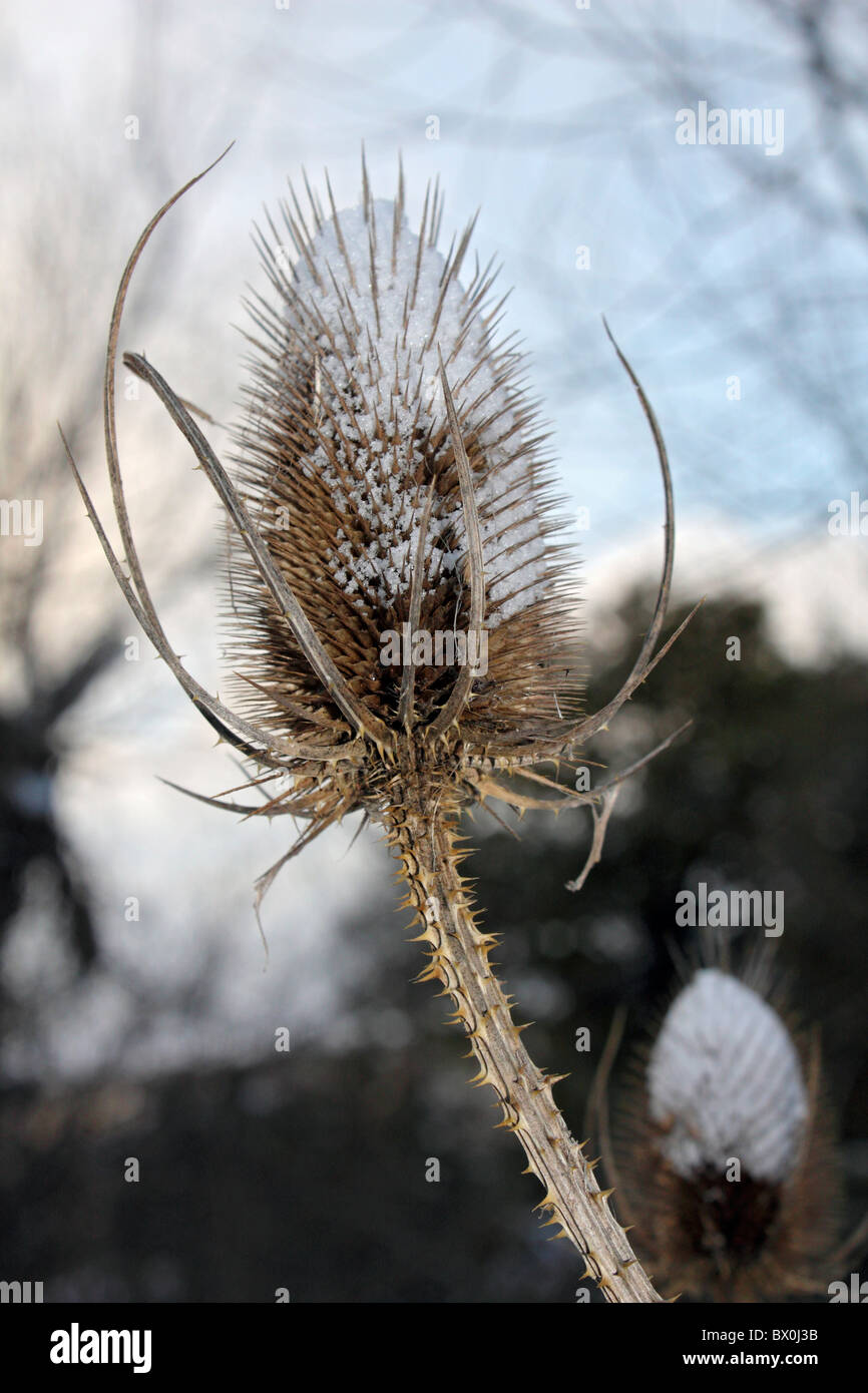 Scena di neve a Hogsmill Open Space Ewell, Epsom Surrey England Regno Unito. Foto Stock