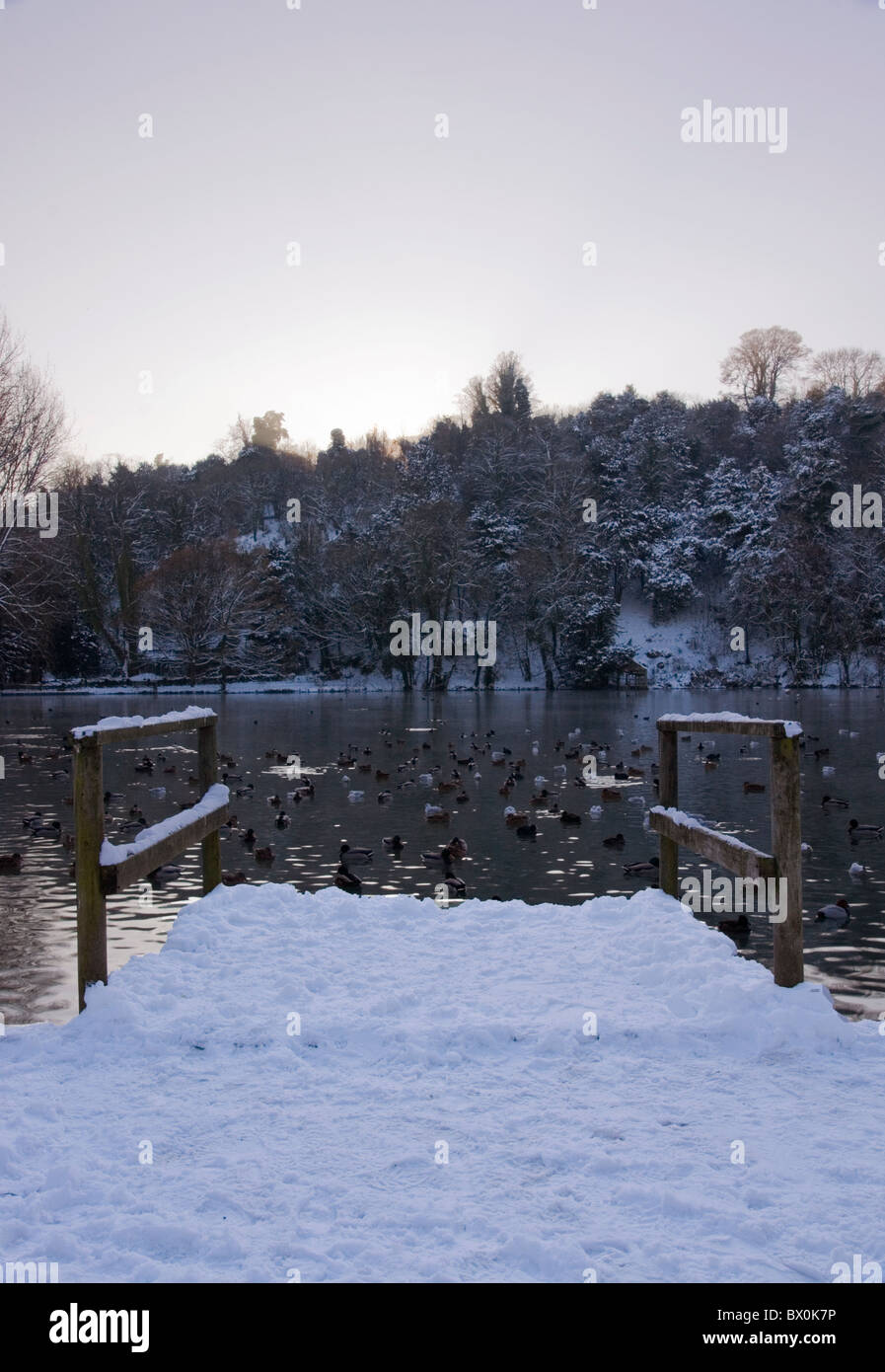 Swanbourne lago in inverno Foto Stock