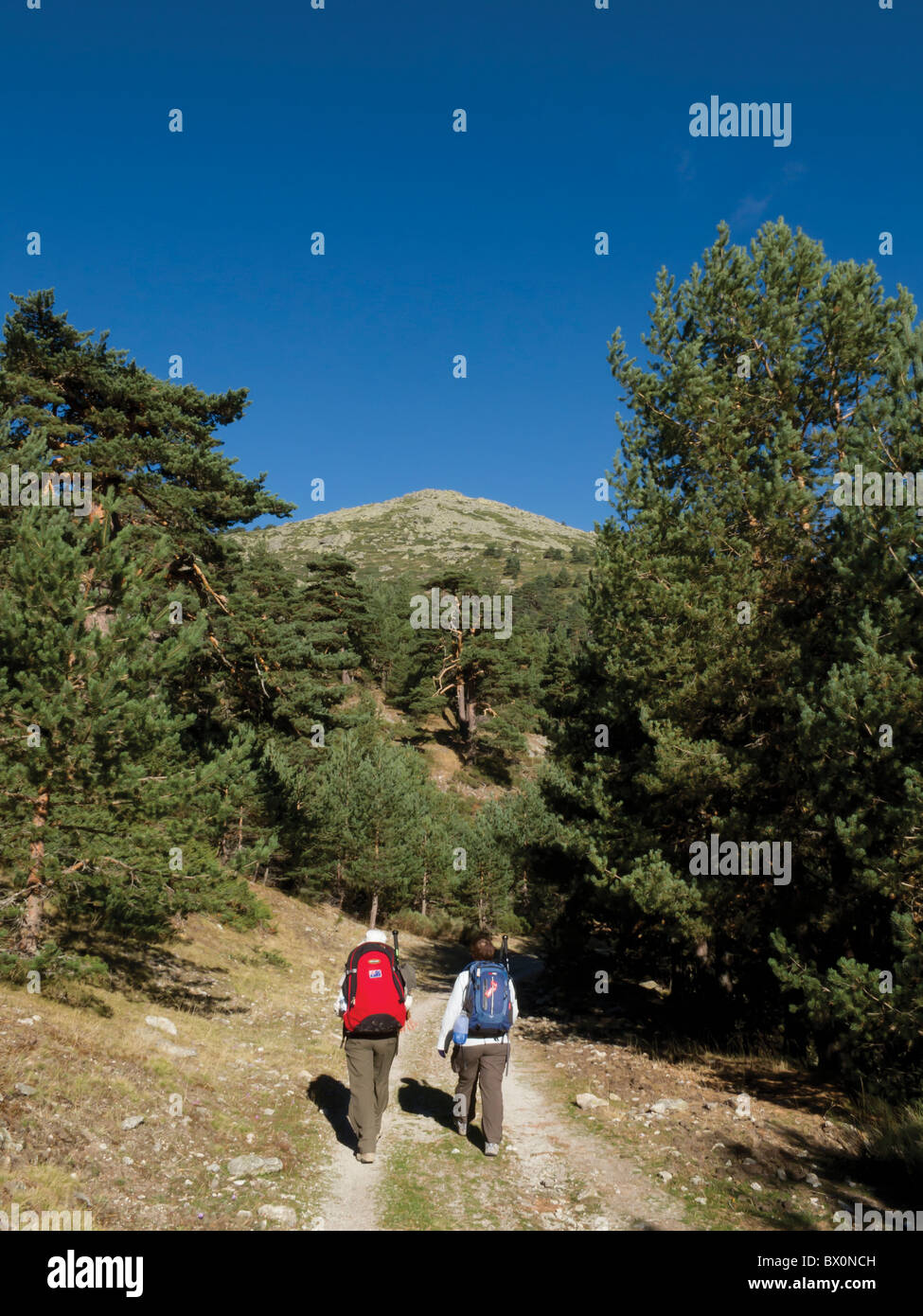 Pellegrino walkers in Sierra de Guadarrama Foto Stock