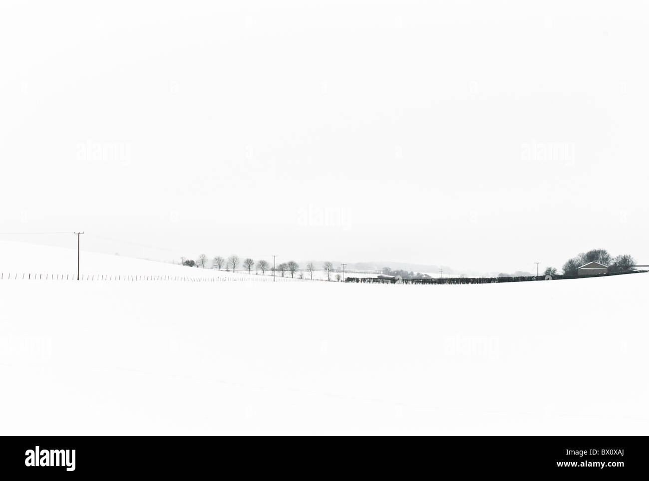 Rural Winter Snow Landscape, dicembre 2010. Foto Stock