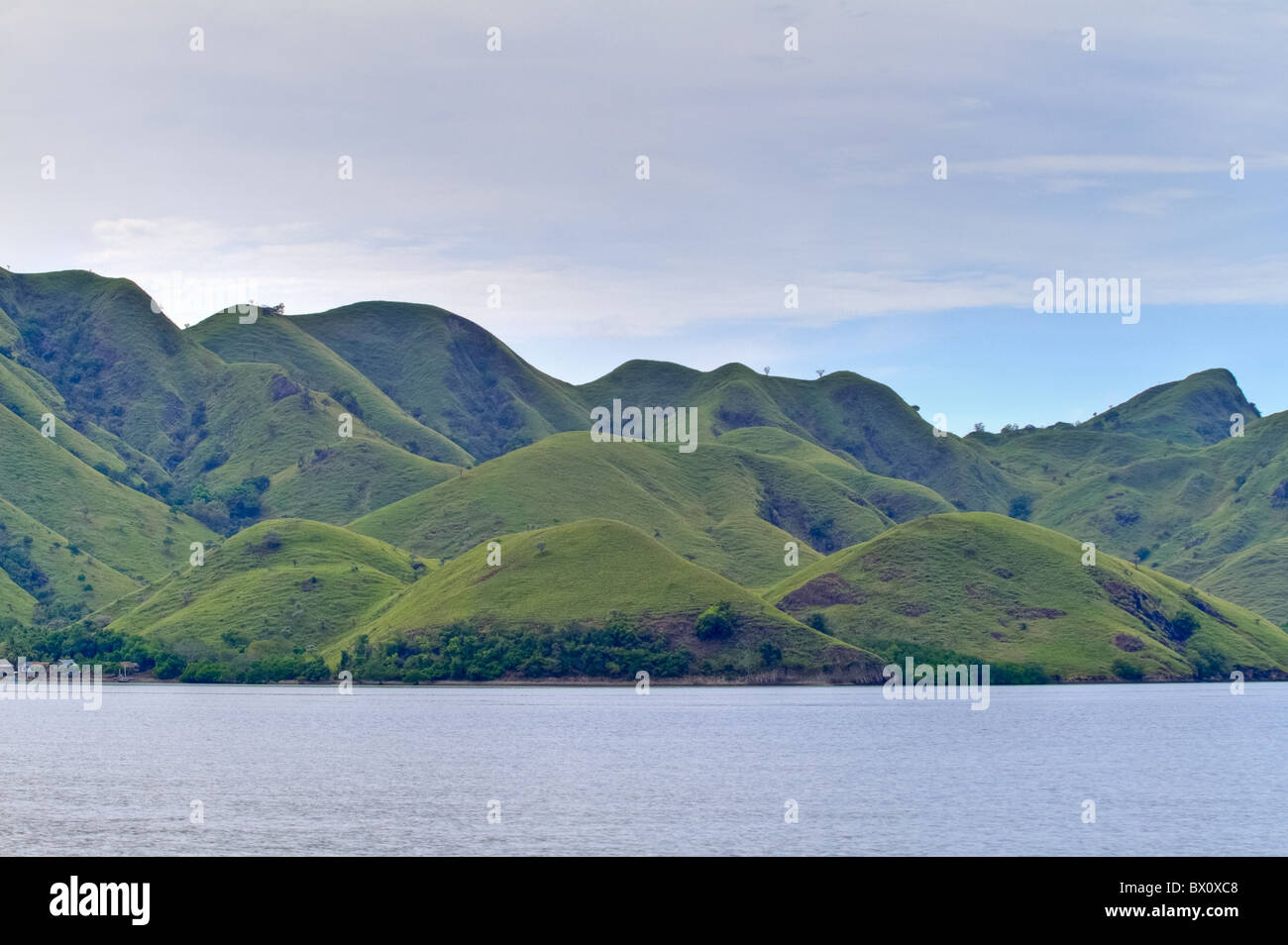 Paesaggio di Isola di Komodo, Indonesia Foto Stock