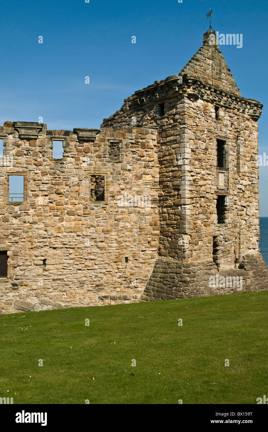 Dh St Andrews St Andrews Fife St Andrews ex Palazzo dei Vescovi rovine heritage Scozia Scotland Foto Stock