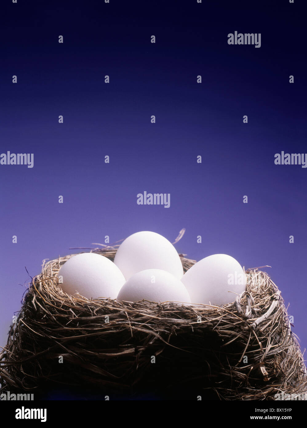 Bird's Nest uova nido studio concetti di simbolo Foto Stock