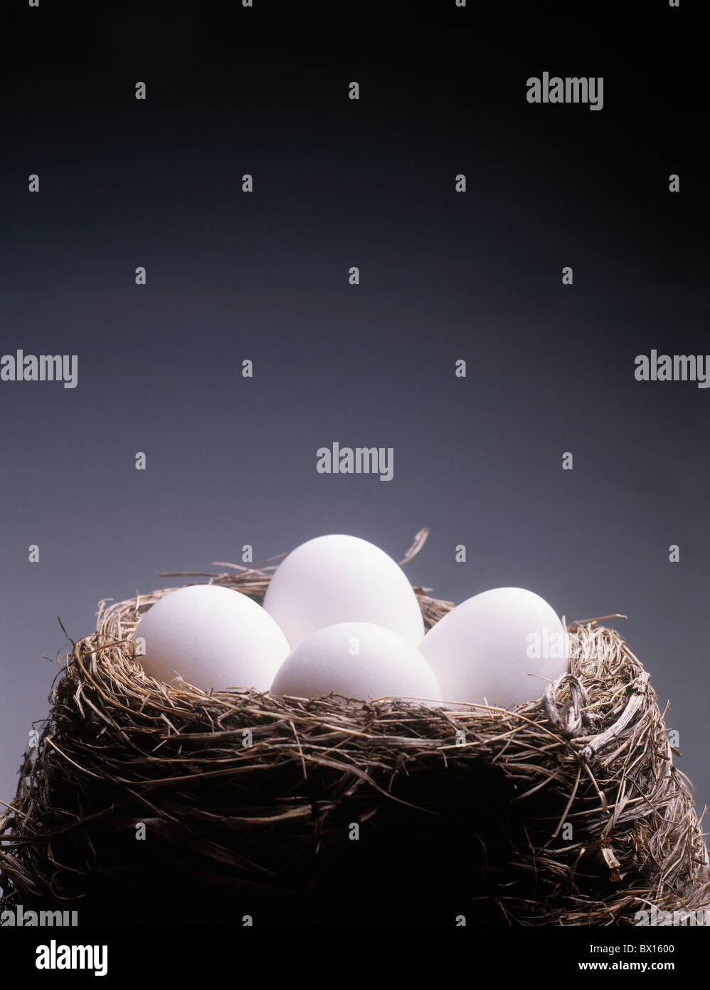 Bird's Nest uova nido studio concetti di simbolo Foto Stock