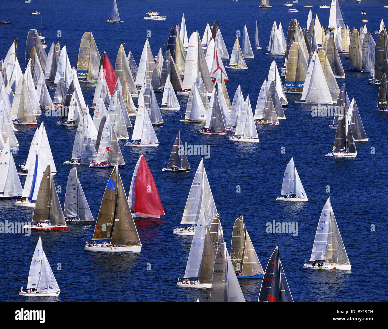 Barche acquatici Bol d'or sul Lago di Ginevra lago di Ginevra Lac Leman regata vele vela nave sport Svizzera Eur Foto Stock