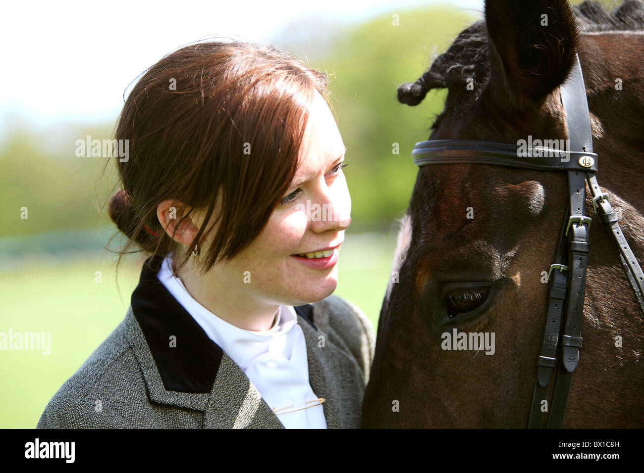 Cavaliere e cavallo Scozia UK testa a testa di toccare Foto Stock