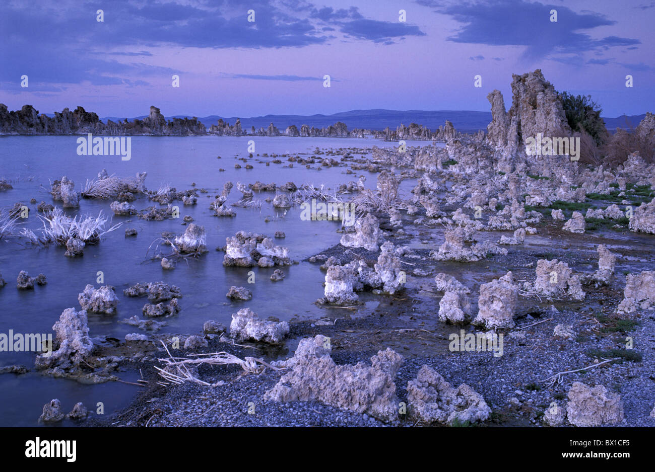 California Mono Lago Riserva Statale nelle vicinanze town Lee Vining formazioni di tufo USA America Stati Uniti paesaggio Foto Stock