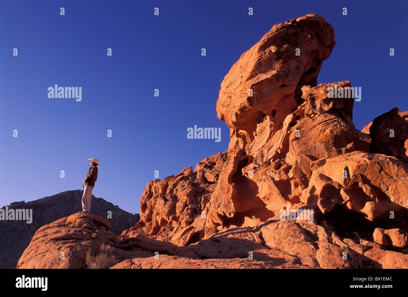 Cowboy cowgirl rocce paesaggio donna modello rilasciato Nevada di sabbia rossa formazioni di pietra USA America United S Foto Stock