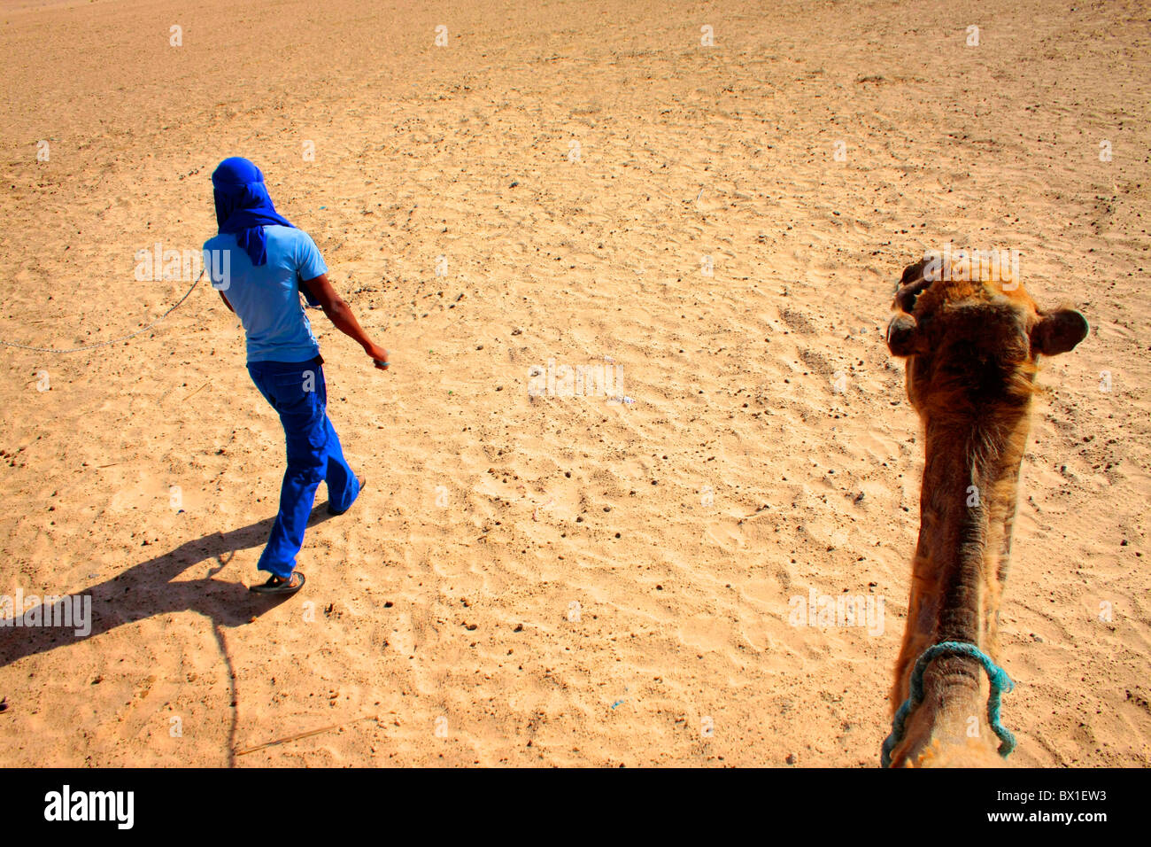 Tradizionali Berbere driver cammello a Douz Tunisia modello rilasciato Foto Stock