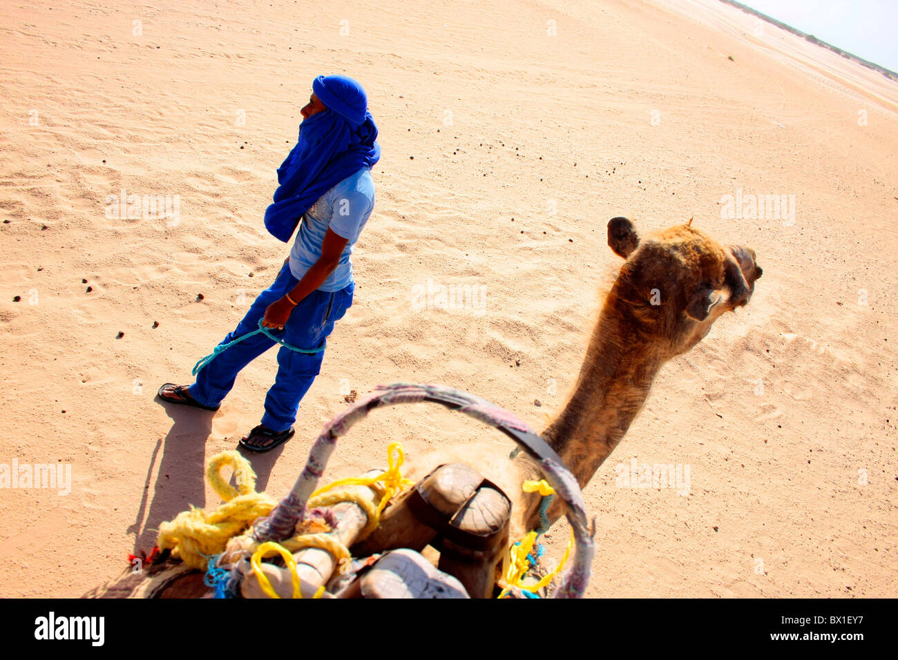 Tradizionali Berbere driver cammello a Douz Tunisia modello rilasciato Foto Stock