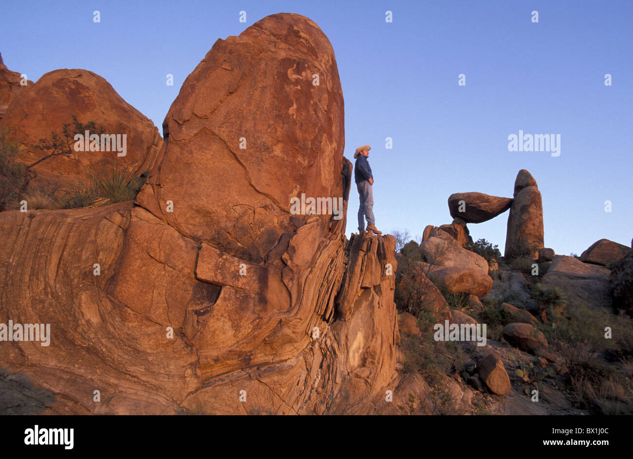 Parco nazionale di Big Bend colline Grapevine Texas USA America Stati Uniti cowboy uomo rocce America del Nord Foto Stock