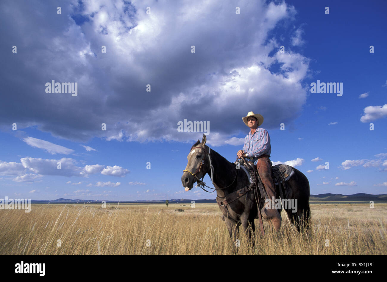 Cibolo Creek Ranch Cowboy nessun modello di rilascio paesaggio cavallo di prateria Nord America Gary Louis Texas USA Amer Foto Stock