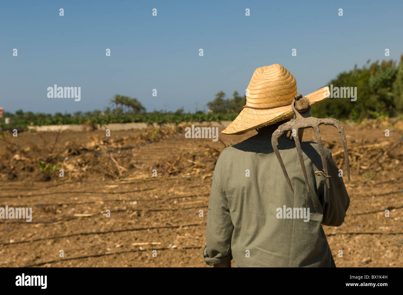 Vista posteriore di un agricoltore nel campo Tyr Libano Medio Oriente Foto Stock