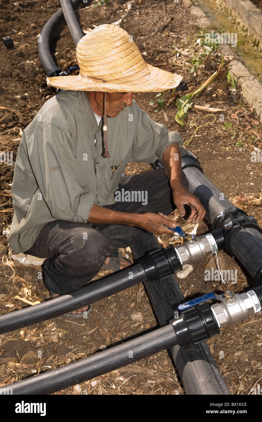 70 anni in Medio Oriente agricoltore di fissaggio tubi di irrigazione nel campo Tyr Libano Medio Oriente Foto Stock