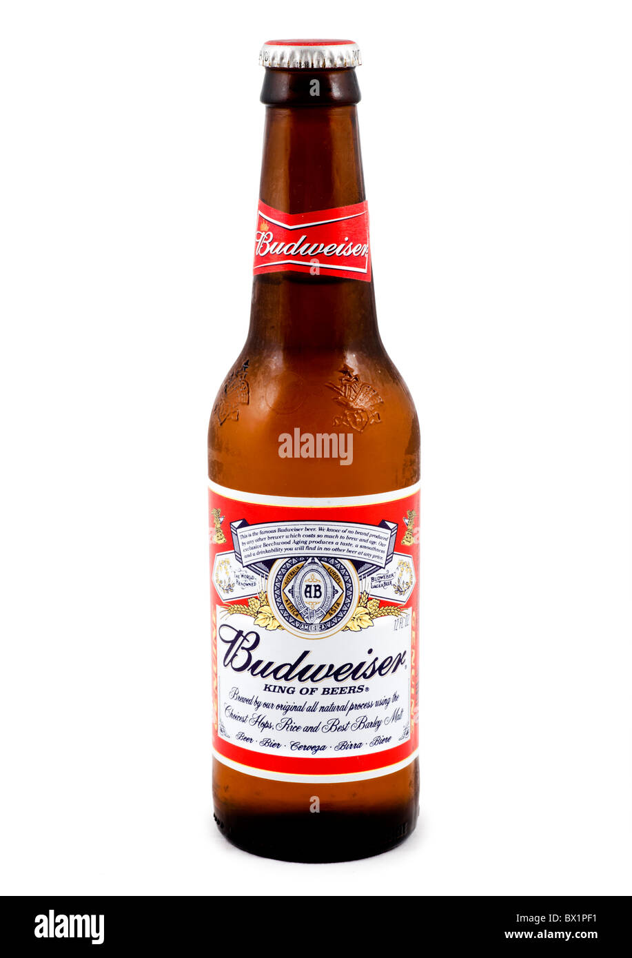 Bottiglia di ghiaccio freddo birra Budweiser, STATI UNITI D'AMERICA Foto Stock