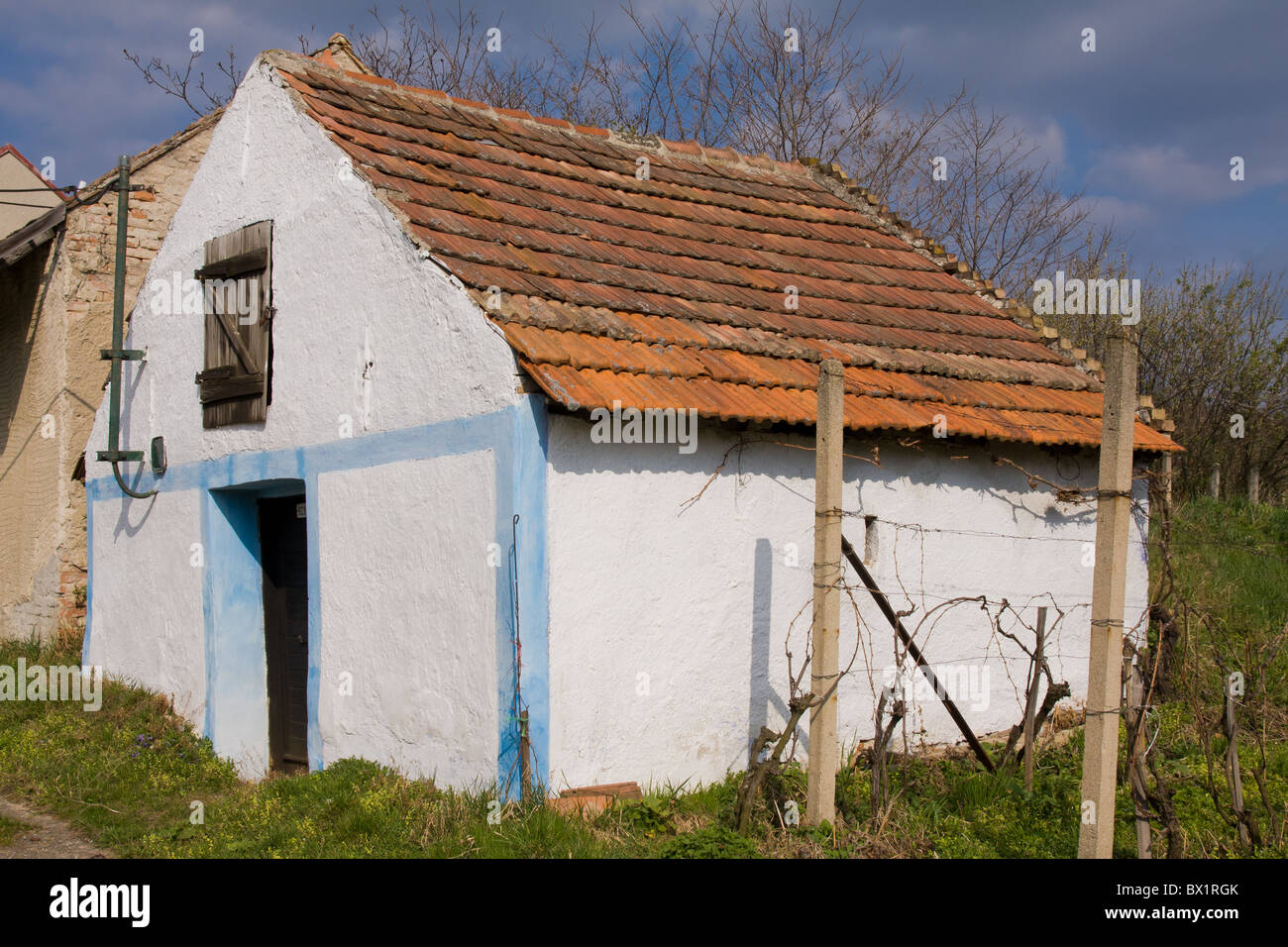 Colorato la grotta del vino nella pittoresca regione del vino della Moravia del sud, Repubblica ceca Foto Stock