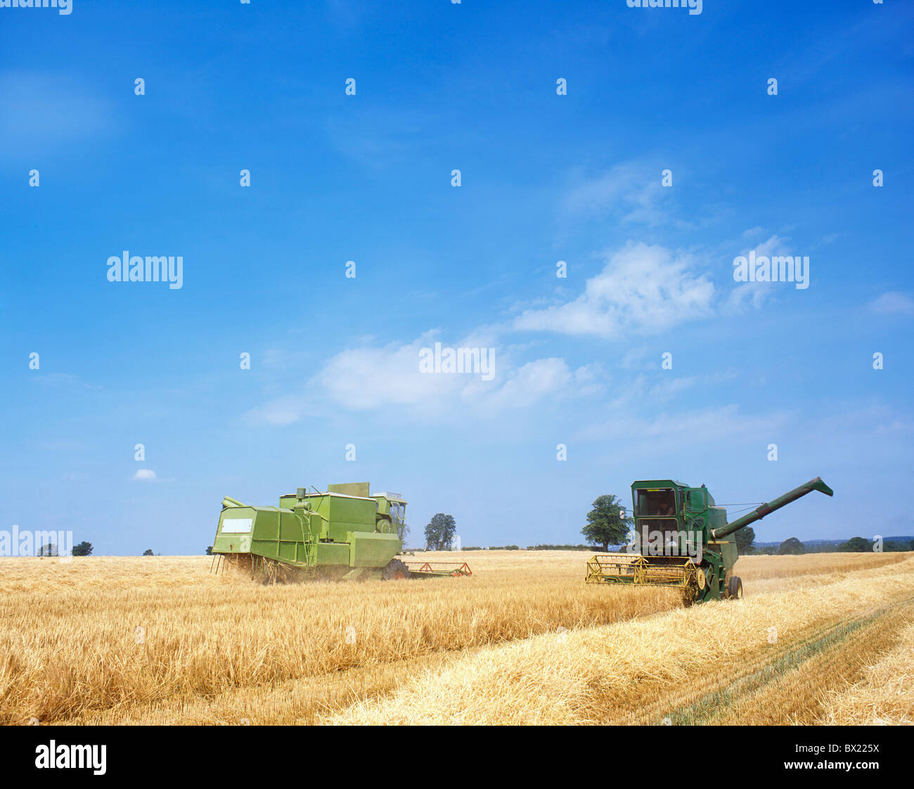 Irlanda, agricoltura, combinare la raccolta Foto Stock