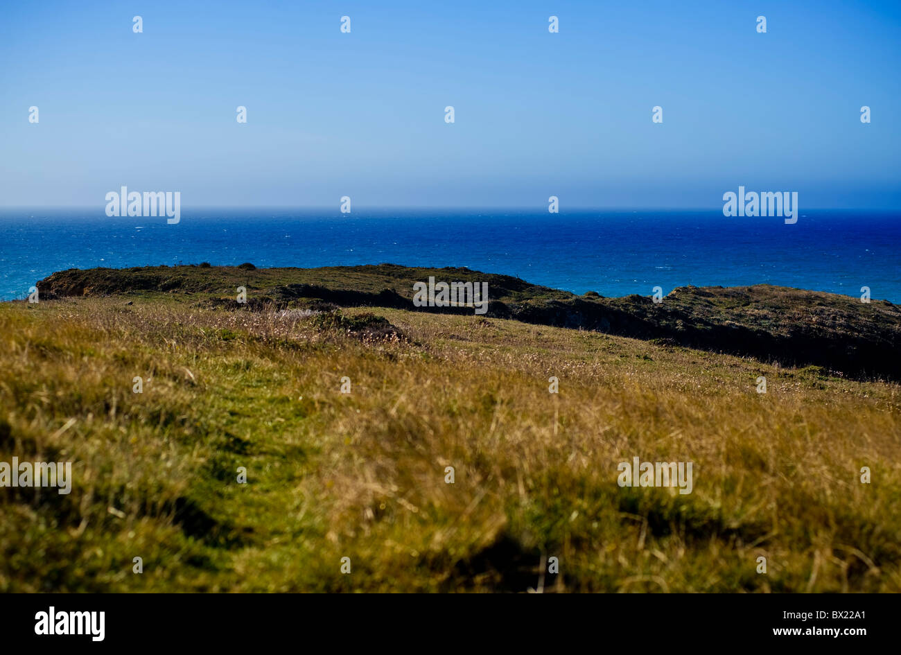 Mare bluff su mendocino coast Foto Stock