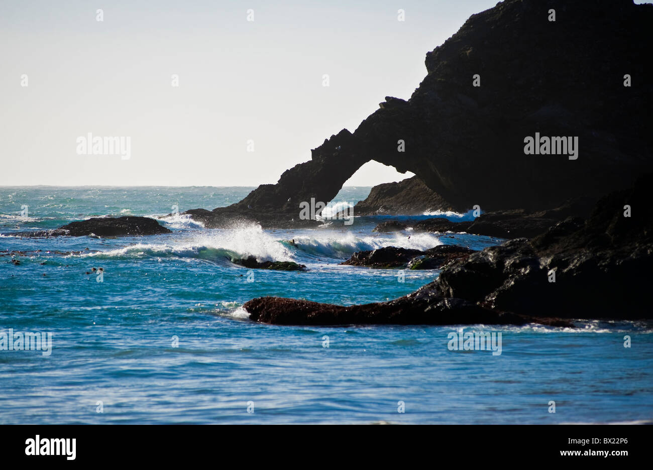 Rocciosa costa del Pacifico Foto Stock