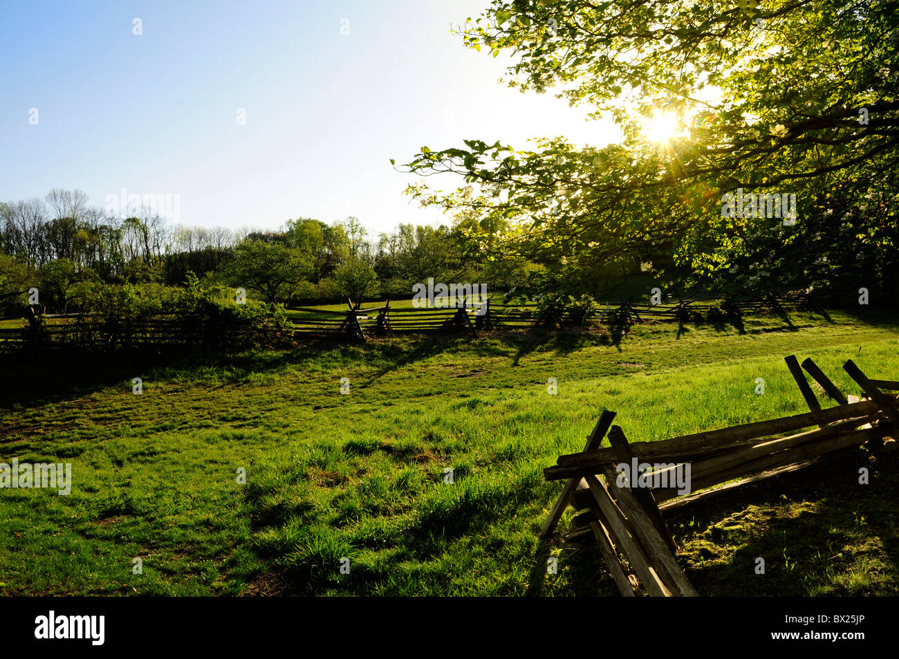 Sole che splende attraverso gli alberi su una fattoria Foto Stock