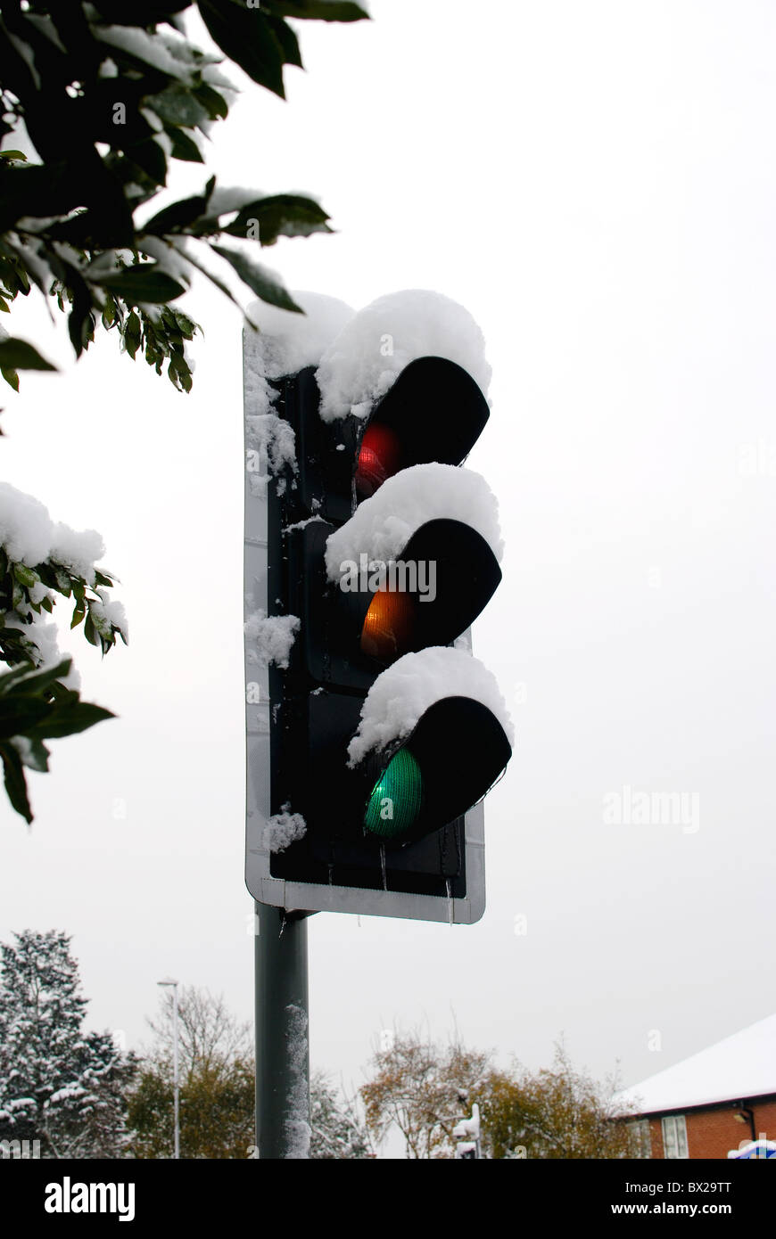 Semaforo (segnale) con neve su di esso. Inghilterra Foto Stock