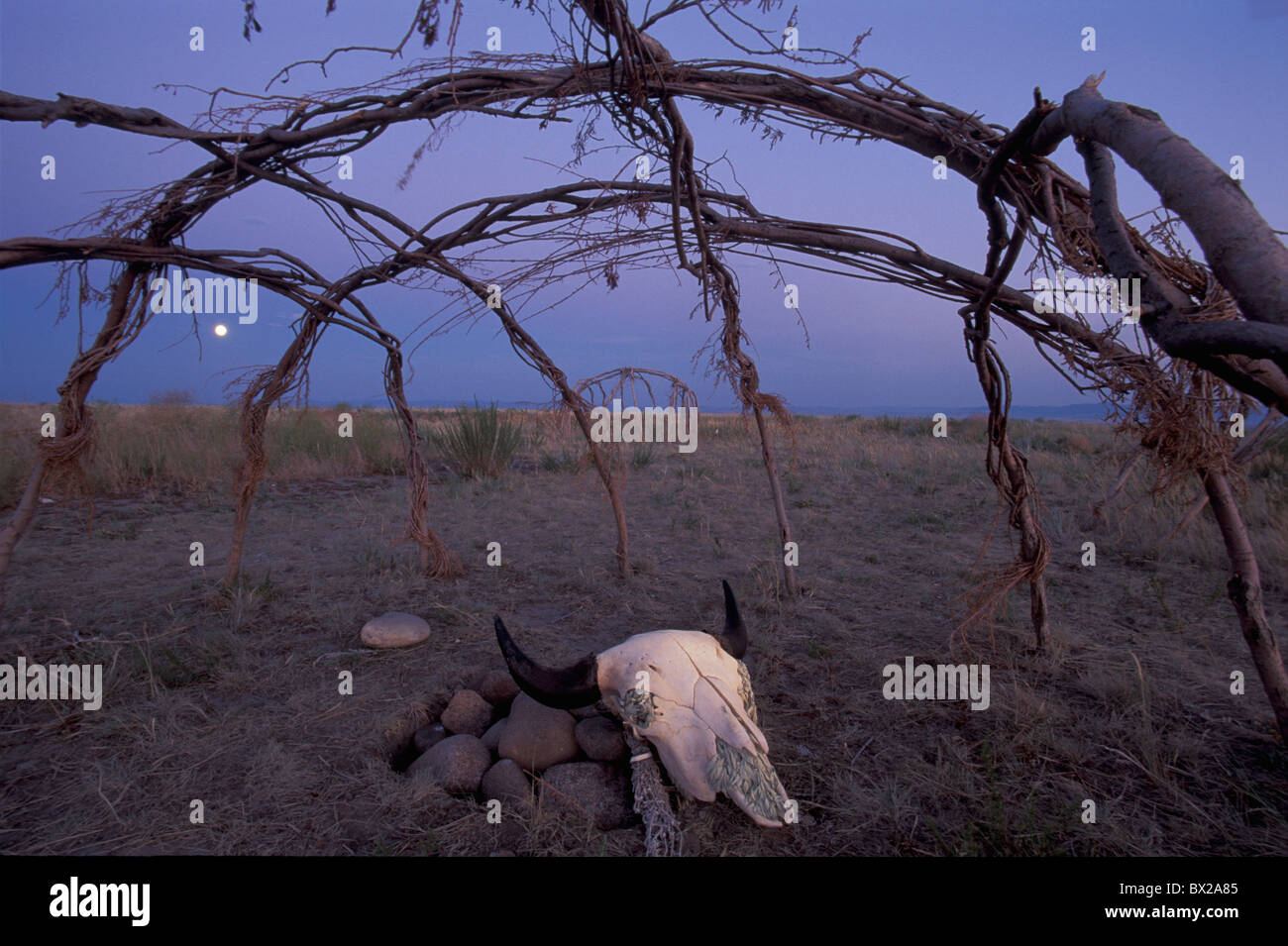 Great Falls Montana USA Stati Uniti America 10817090 nativi indiani americani piedino nero sauna indiana Blackfeet Indian bison Foto Stock