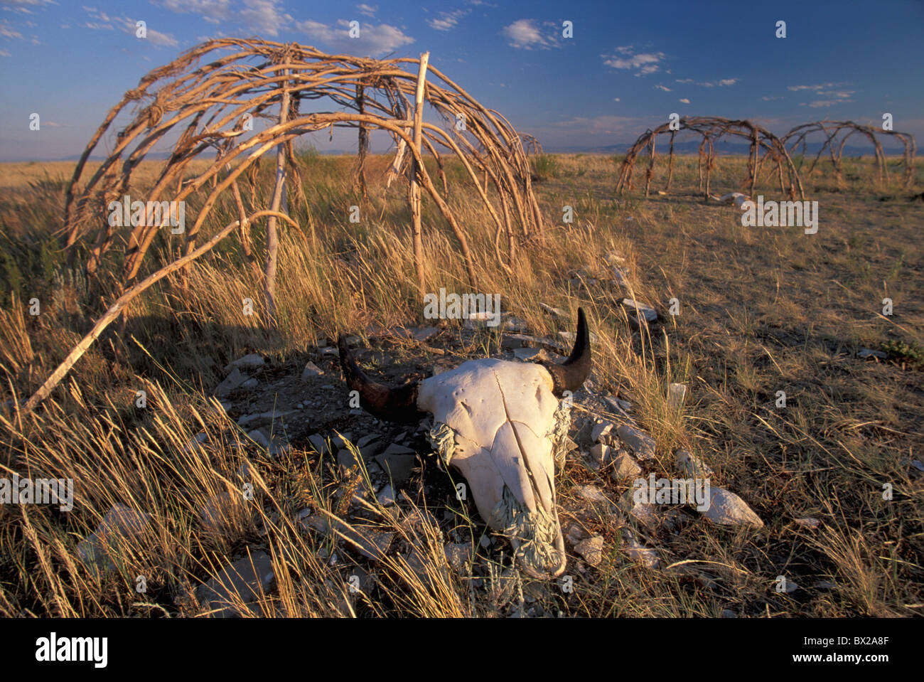 Great Falls Montana USA Stati Uniti America 10817091 nativi indiani americani piedino nero sauna indiana Blackfeet Indian bison Foto Stock