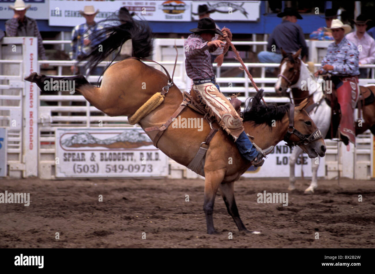 America strappi Horse Contest Oregon sorelle sorelle rodeo Stati Uniti Nord America USA cowboy azione n Foto Stock