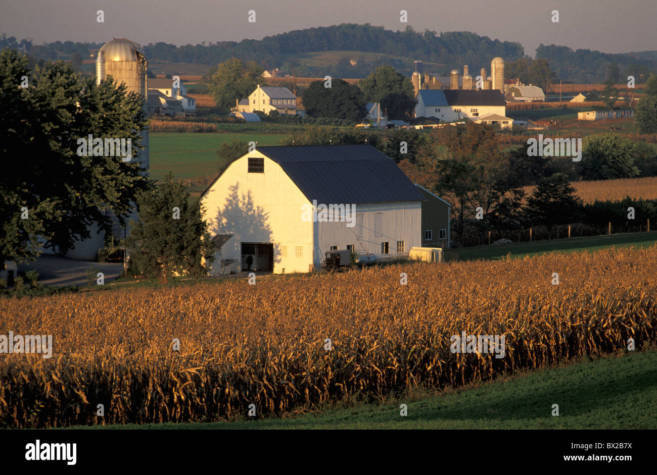 Paradise Pennsylvania USA Stati Uniti America scenario campi fattorie paradiso agricoltura Dutch Country Foto Stock