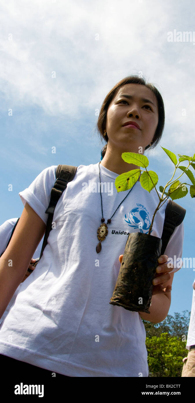 La piantumazione di alberi evento Università per la pace studenti asiatici Costa Rica Foto Stock