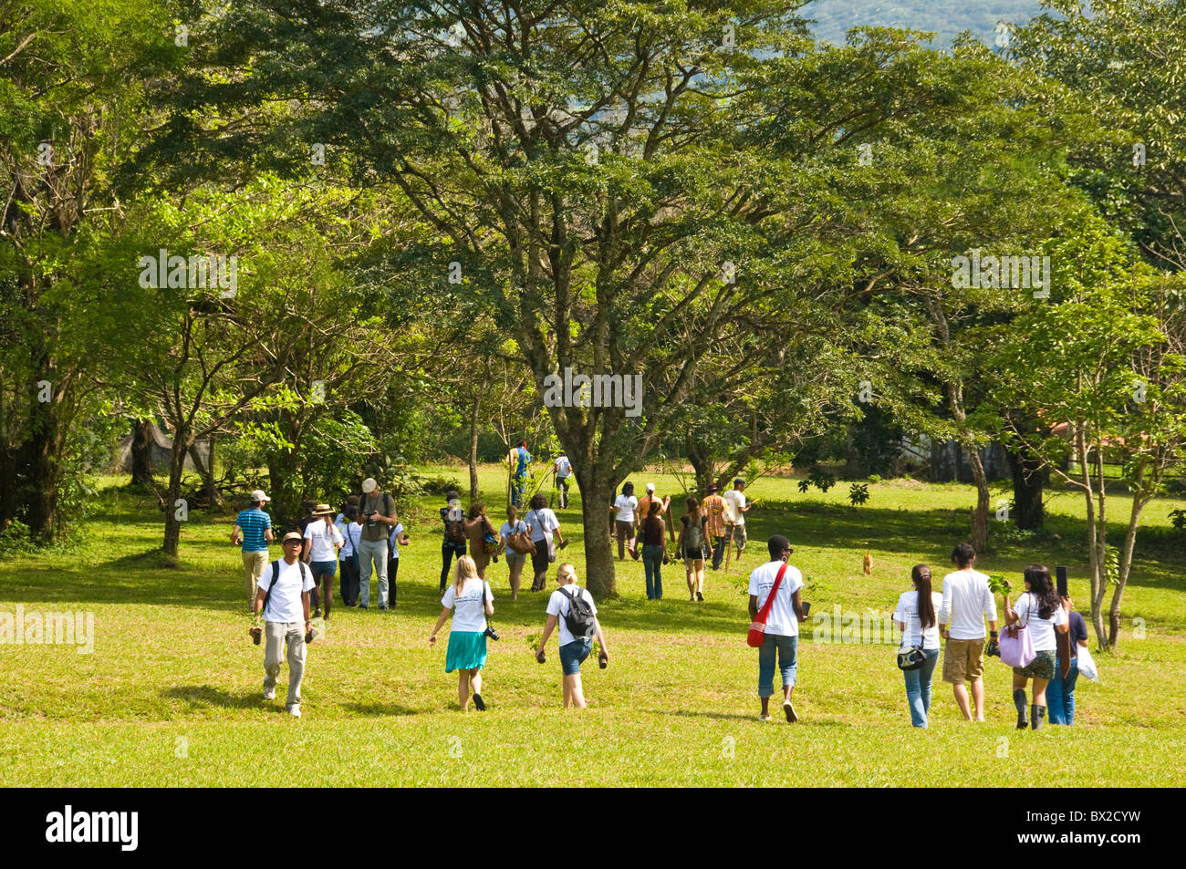 Università Campus per la pace Rodeo Costa Rica Foto Stock