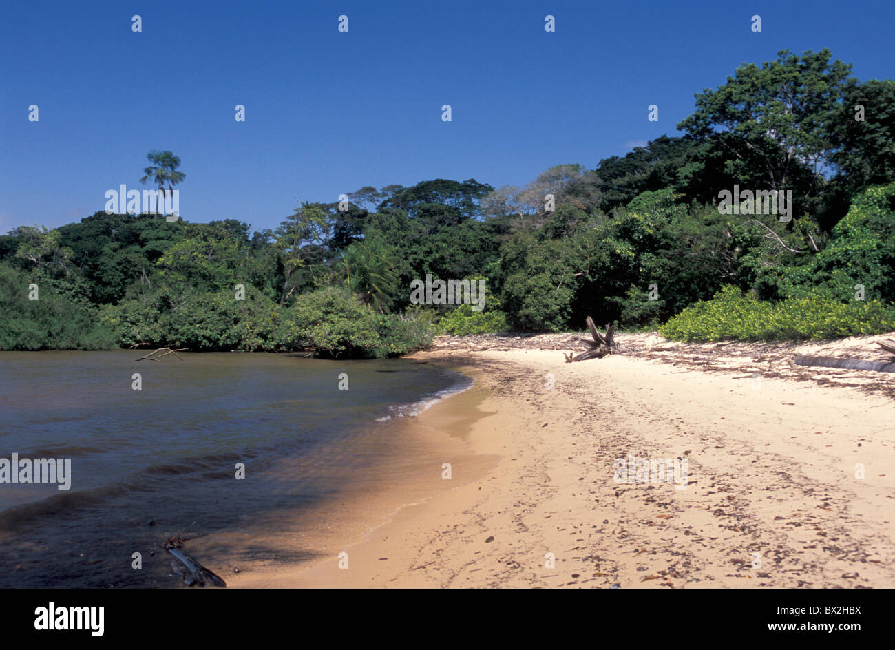 Spiaggia sabbiosa Fazenda Sao Franzisco Ilha do Marajo Amazon Delta Amazon Brasile America del Sud Foto Stock