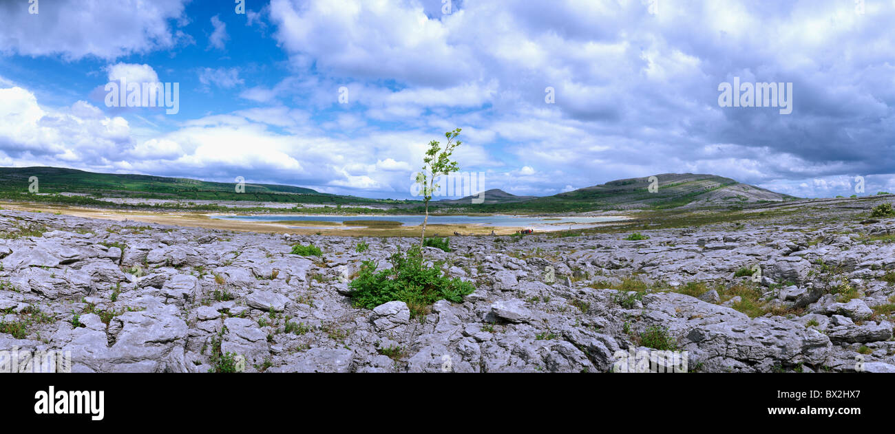 Co Clare, Lough Gealain Mullach più vicino Kilnaboy, Foto Stock