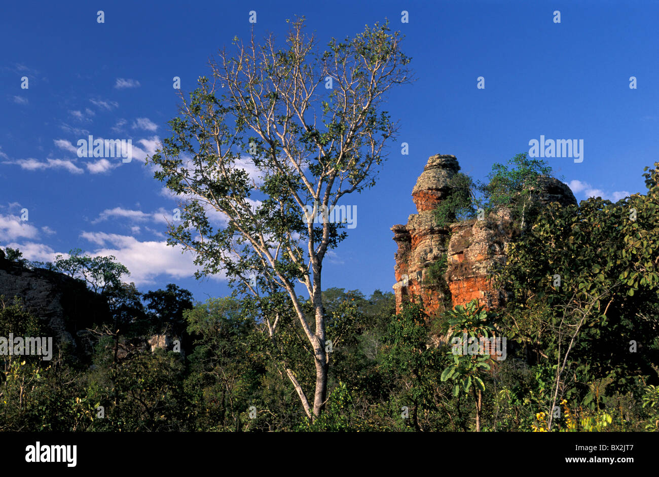 Le formazioni rocciose Chapada dos Guimares vicino Cuiaba Mato Grosso Brasile America del Sud paesaggio Foto Stock