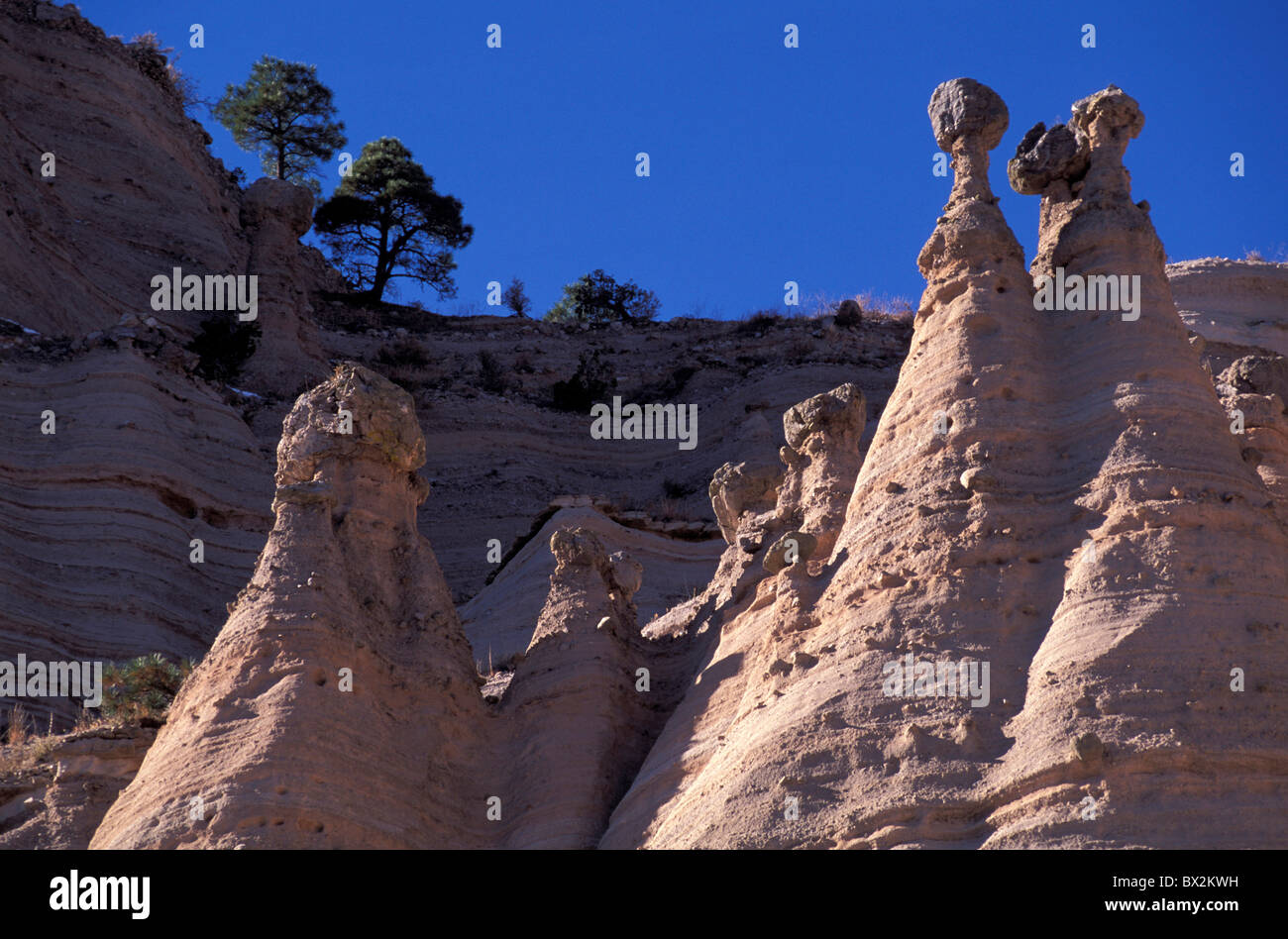 Tenda Rocks National Recreation Trail Jemez Montagne Nuovo Messico USA America Nord America le piramidi di erosione roc Foto Stock
