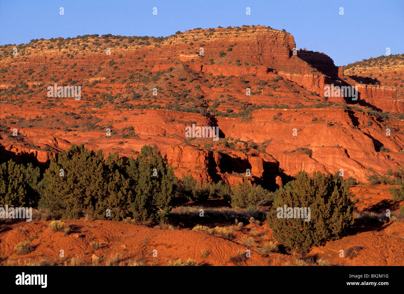 Rocce Rosse paesaggio desert canyon Jemez indiano prenotazione Nuovo Messico USA America Nord America Foto Stock