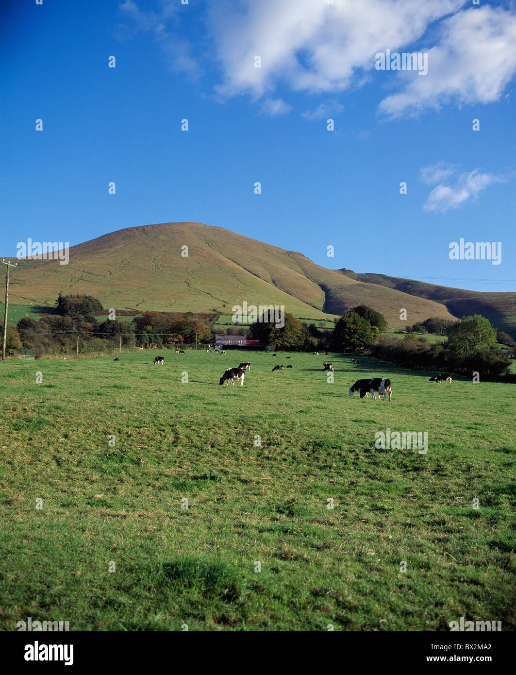 Anglesborough,Co Tipperary, Irlanda;visualizzazione dei terreni agricoli e montagne Galtee Foto Stock