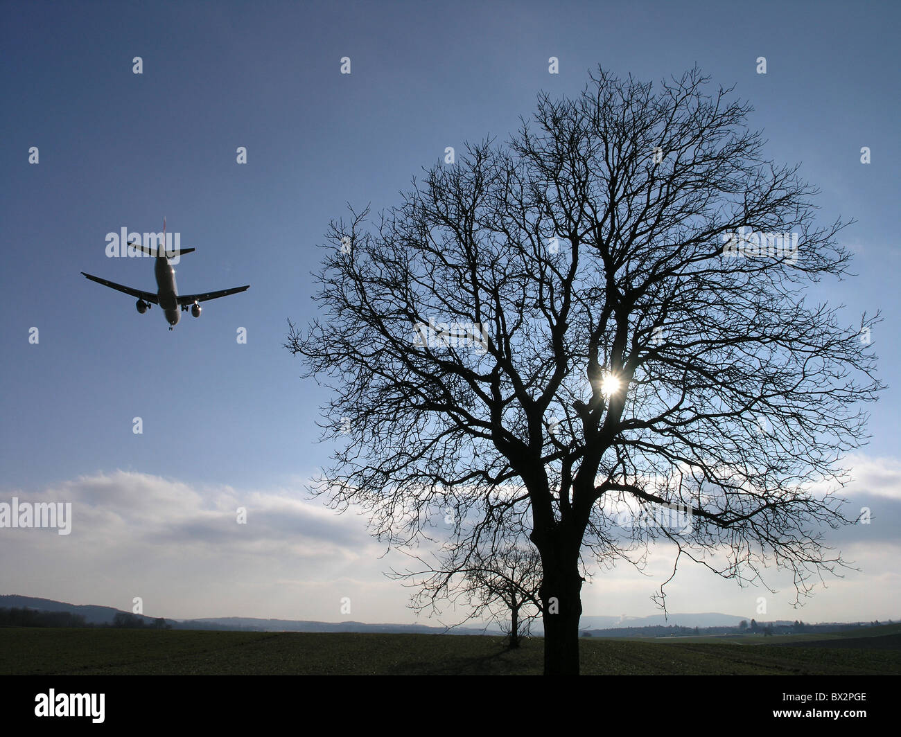 Velivolo jet jet atterraggio aereo tree silhouettes sky sun volo rumore Il rumore dall'aeroporto di Zurigo Svizzera E Foto Stock