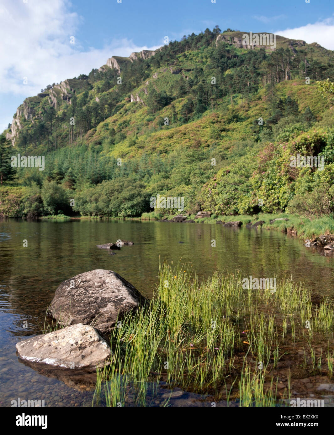 Glanmore Lake, County Cork, Irlanda Foto Stock