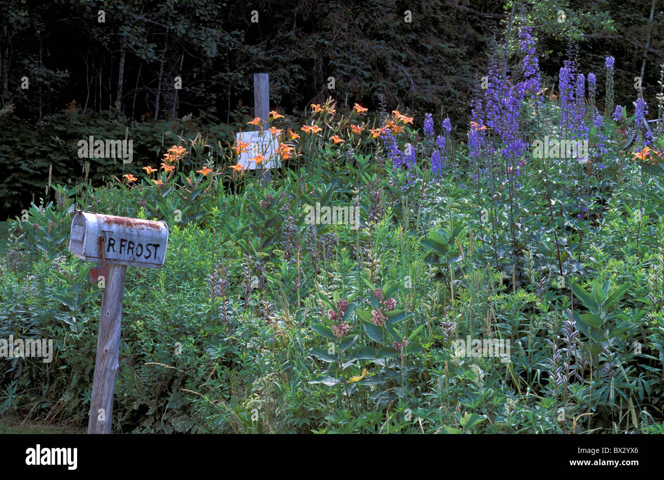 Nei pressi di Franconia Robert Frost posto New Hampshire letter box USA America Stati Uniti America del Nord Foto Stock