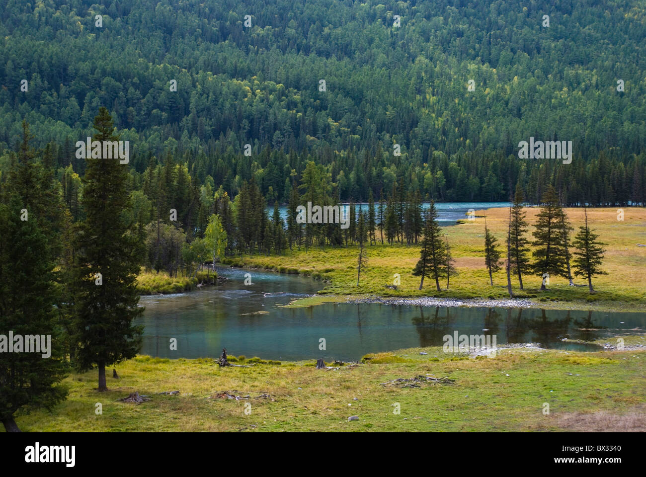 Fairy Bay, Kanas River, settentrionale Xinjiang, Cina. Foto Stock