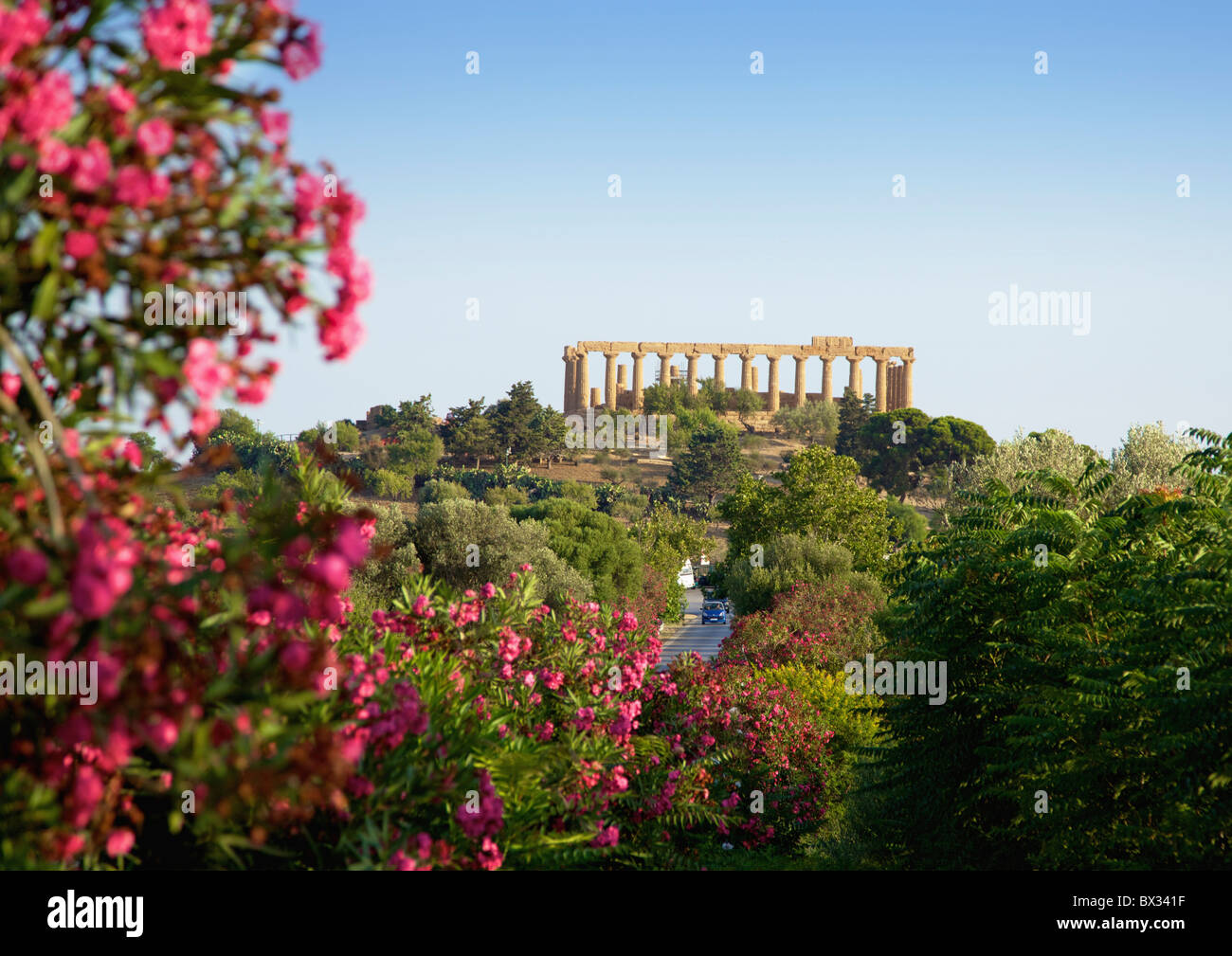 Al di fuori della Valle dei Templi, Agrigento, Sicilia, Italia Foto Stock