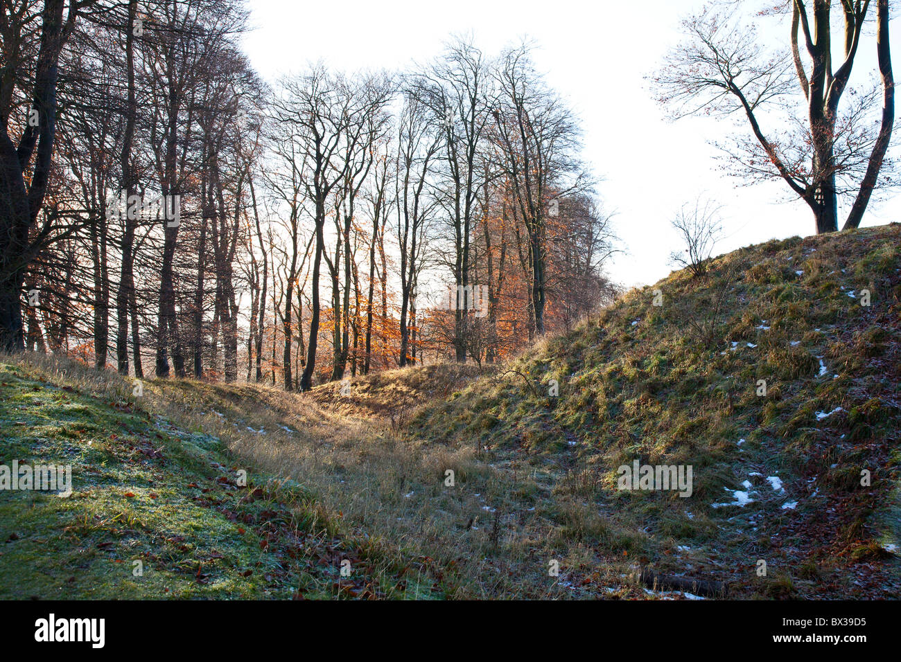 Danebury Iron Age Fort Hill, Hampshire, Regno Unito Foto Stock