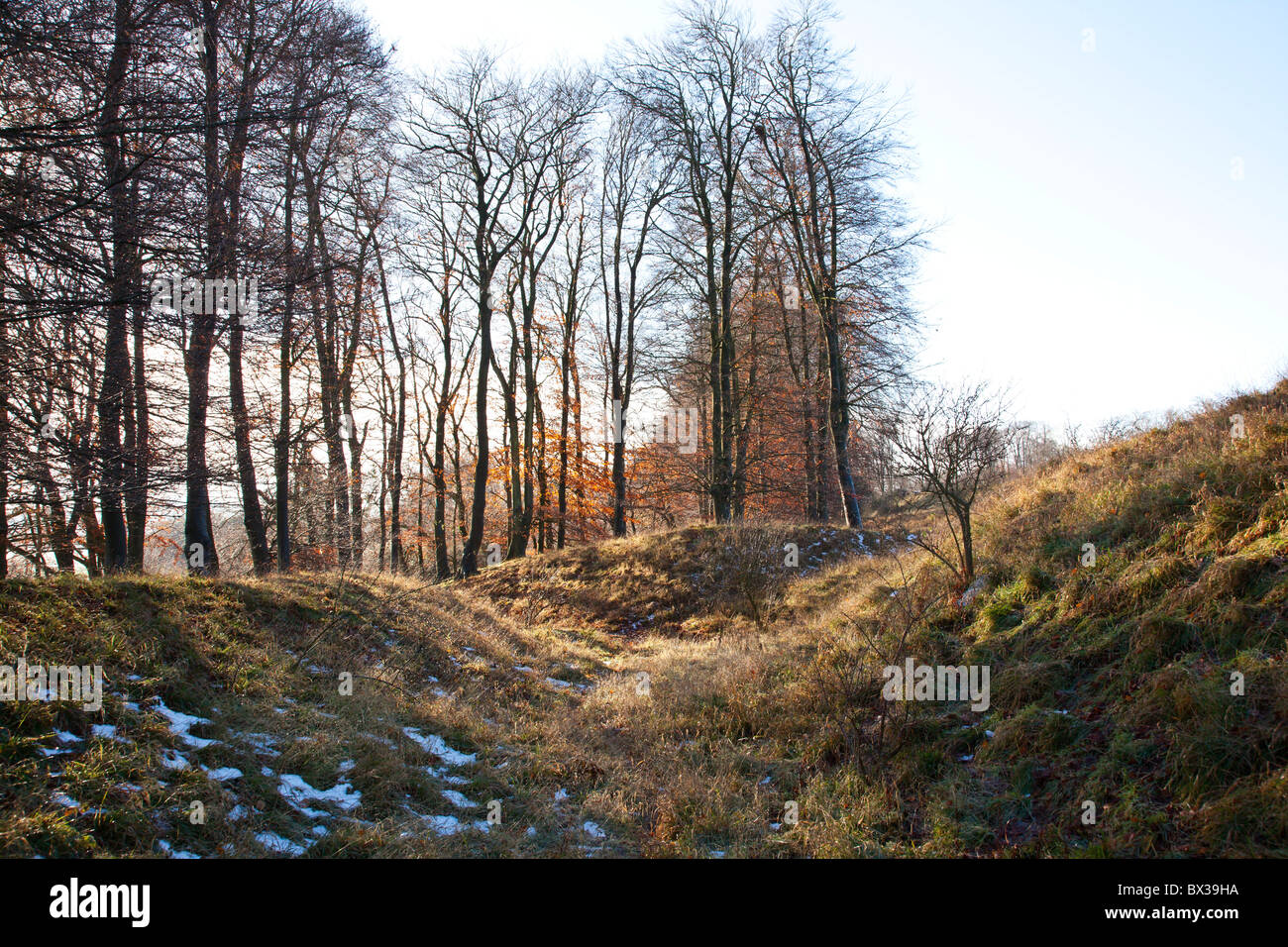 Danebury Iron Age Fort Hill, Hampshire, Regno Unito Foto Stock