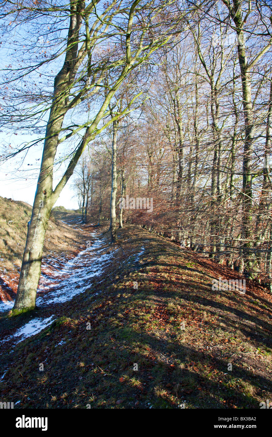 Danebury Iron Age Fort Hill, Hampshire, Regno Unito Foto Stock