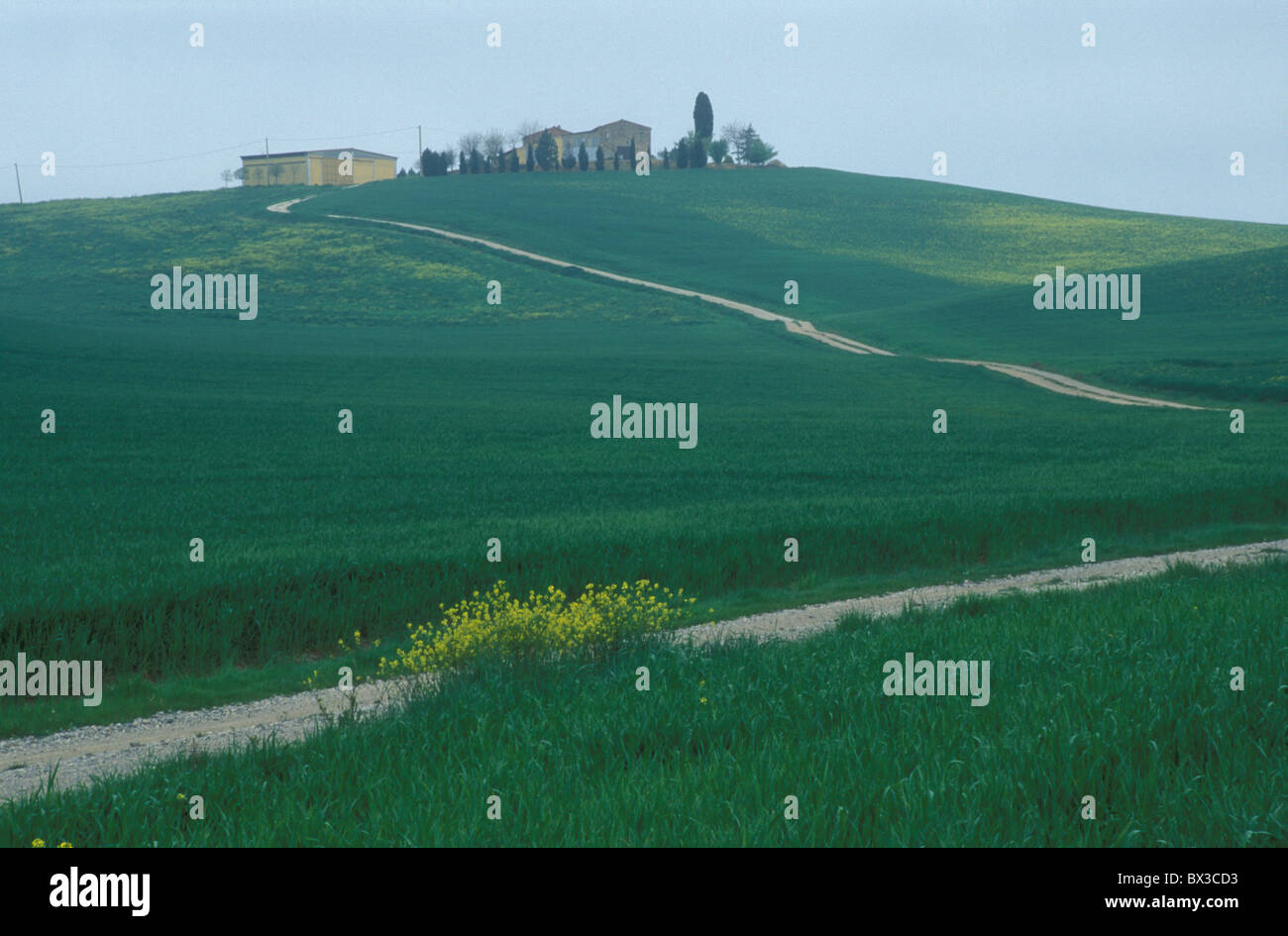 Agriturismo Collina Strada grassfields Creta Regione Toscana Toscana Italia Europa paesaggio tipico Foto Stock