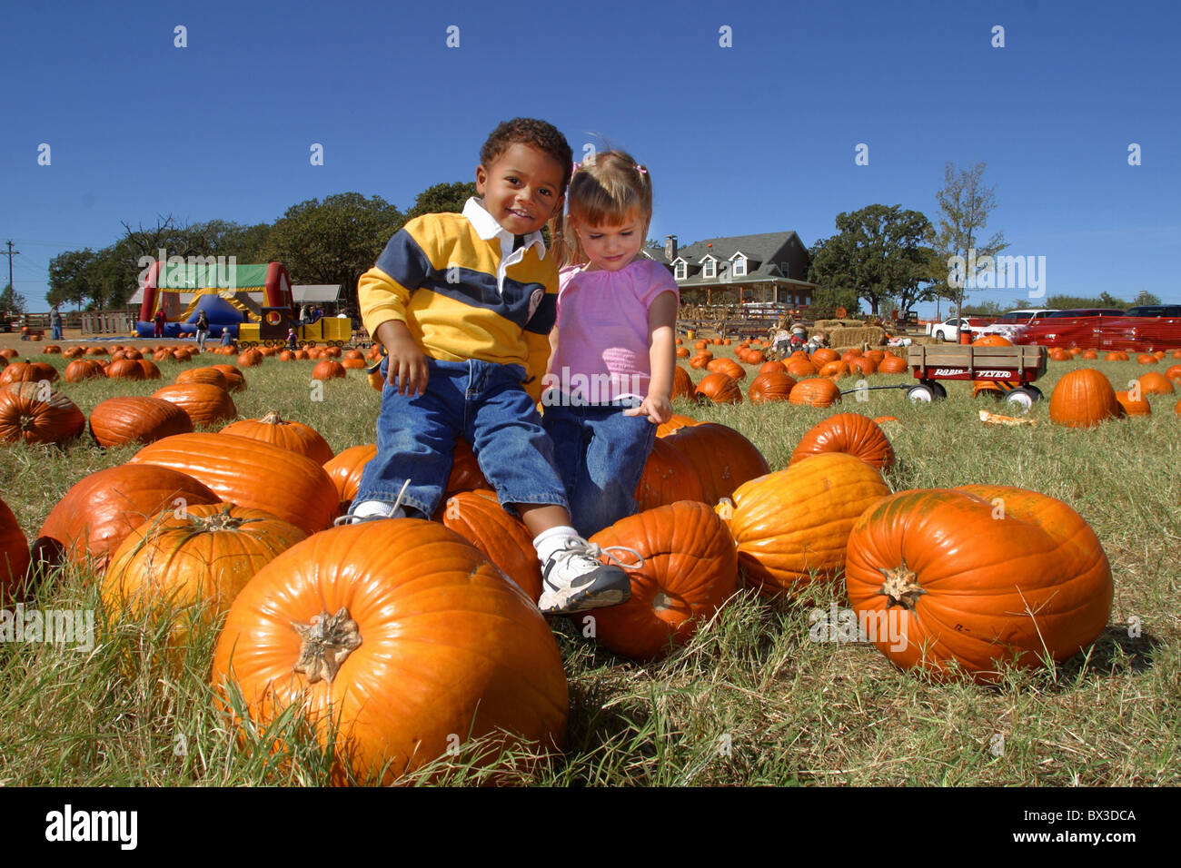 USA America Stati Uniti America del Nord Texas Flower Mound zucche fall festival halloween ringraziamento peo Foto Stock